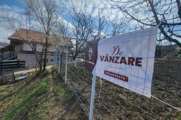 Teren de vanzare REDIU - Iasi anunturi imobiliare Iasi