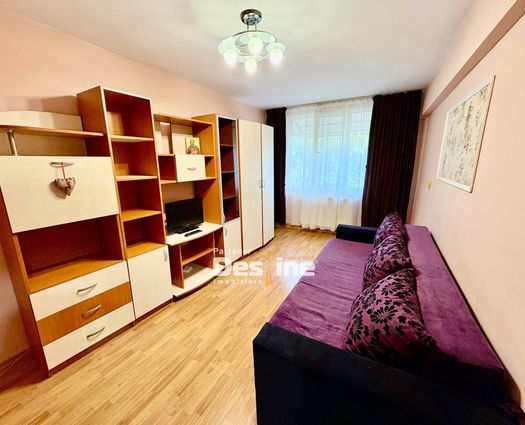 Garsonieră Frumoasa, 33 mp