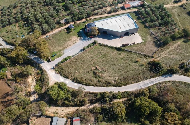 Teren agricol 3000 mp în Nea Vrasna anunturi imobiliare Grecia