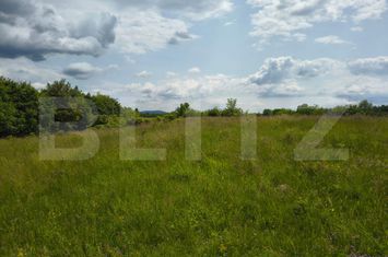 Teren de vanzare TEISANI - Prahova anunturi imobiliare Prahova