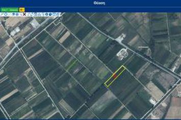 Teren construibil 11.125 mp în Chrysoupoli anunturi imobiliare Grecia