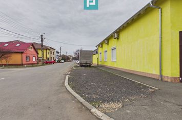 Spațiu mixt comercial de 500 mp în Grădiște anunturi imobiliare Arad
