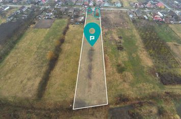 Teren  3930 mp Padureni anunturi imobiliare Timis