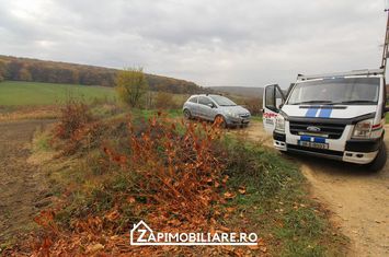 Budiu Mic - 500 mp intravilan - toate utilitatile anunturi imobiliare Mures