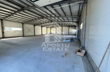Hala noua de inchiriat 550 mp, birouri, parcare, Sacalaz. anunturi imobiliare Timis