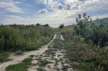 Teren 5.078 mp km 30 Bucuresti-Pitesti- 26.500 eur anunturi imobiliare Giurgiu