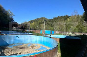 Teren de inchiriat SUCEAVA - Suceava anunturi imobiliare Suceava