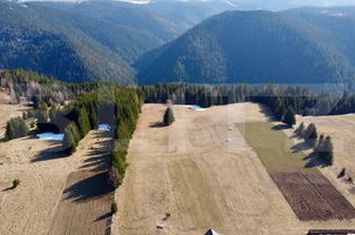 Teren de vanzare RASCA - Cluj anunturi imobiliare Cluj