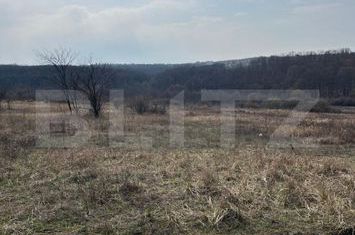 Teren de vanzare PALEU - Bihor anunturi imobiliare Bihor