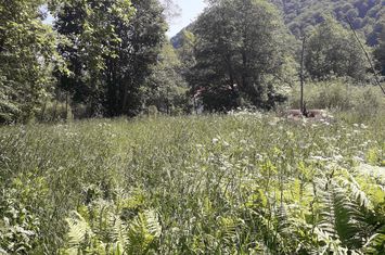 Teren Rusca  - Caras Severin anunturi imobiliare Caras Severin
