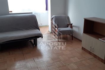 Apartament 2 camere, centrala proprie,  petfriendly, zona Cetatii anunturi imobiliare Timis