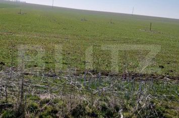 Teren de vanzare CRAIOVA - Dolj anunturi imobiliare Dolj