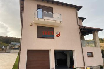 Vilă - 7 camere de vanzare CETATE - Alba anunturi imobiliare Alba