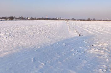 Teren de vanzare RADAUTI - Suceava anunturi imobiliare Suceava