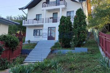 Vilă - 4 camere de vanzare IASI - Iasi anunturi imobiliare Iasi