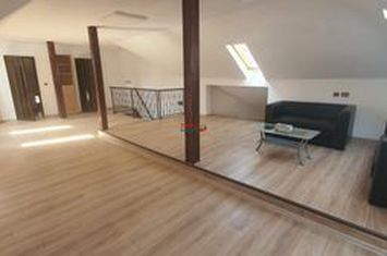 Spațiu comercial de inchiriat CENTRAL - Alba anunturi imobiliare Alba