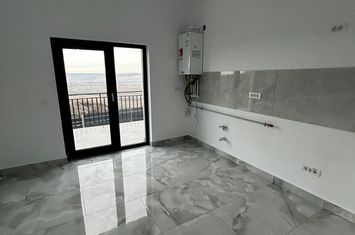 Casa tip duplex 4 camere, Dedeman-Antibiotice, anunturi imobiliare Iasi