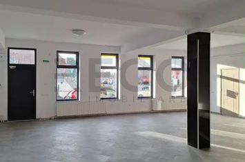 de inchiriat CENTRAL - Bihor anunturi imobiliare Bihor