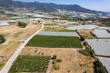 Teren construibil 8000 mp în Mirtofito anunturi imobiliare Grecia