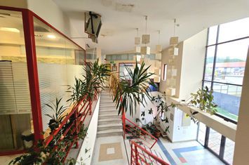 Birou de inchiriat POPAS PACURARI - Iasi anunturi imobiliare Iasi
