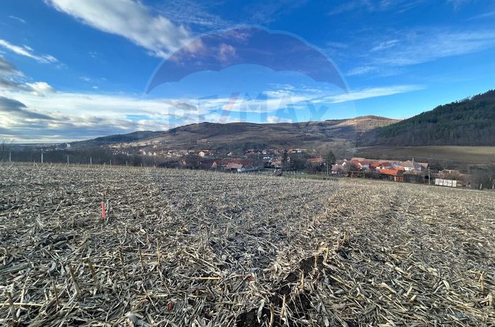 Teren Extravilan Sliminic 5000mp anunturi imobiliare Sibiu