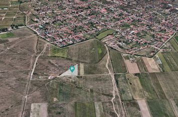 Teren Extravilan – Oportunitate Unică de Investiție! anunturi imobiliare Timis