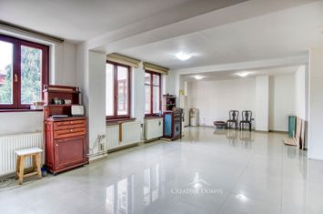Spatiu de birouri in vila, 91 mp, cu o sala mare, Cantemir - Budapesta anunturi imobiliare Bucuresti