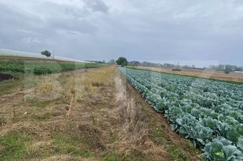 Teren de vanzare BALENI - Dambovita anunturi imobiliare Dambovita