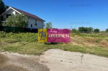 Teren Clinceni- Putu Olteni- Ortansei. anunturi imobiliare Bucuresti