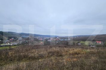 Teren de vanzare LIVEZENI - Mures anunturi imobiliare Mures