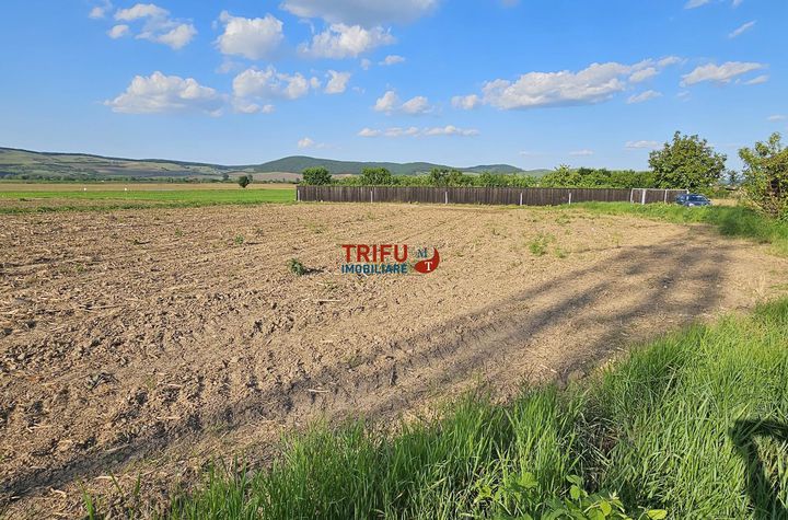 Teren Intravilan de vanzare CENTRAL - Alba anunturi imobiliare Alba