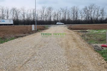 Vânzare teren industrial 4000 mp Frumușani anunturi imobiliare Calarasi