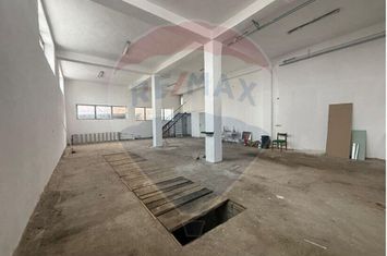 Hala industrială-Inchiriere-Ideală pentru mica productie si depozitare anunturi imobiliare Sibiu