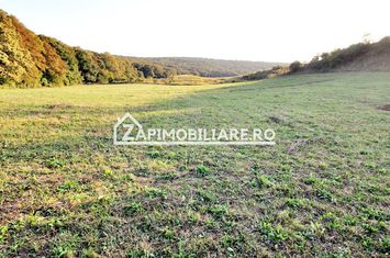 De vanzare 2 terenuri de 29.500 mp si 1.400 mp.29 euro mp anunturi imobiliare Mures