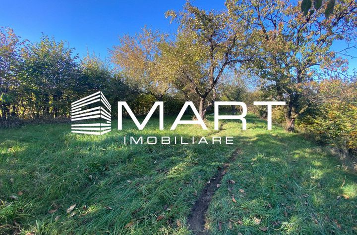 Teren de vanzare RASINARI - Sibiu anunturi imobiliare Sibiu