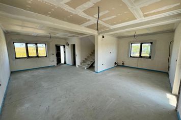 Vilă - 4 camere de vanzare ARONEANU - Iasi anunturi imobiliare Iasi
