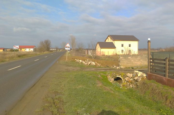 Teren Intravilan de vanzare BUCOVAT - Timis anunturi imobiliare Timis
