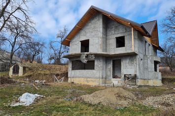 Vilă - 5 camere de vanzare BUCIUM - Iasi anunturi imobiliare Iasi