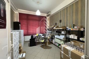 Apartament la parter Chisodei Timisoara anunturi imobiliare Timis