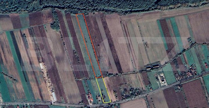 Teren de vanzare BOTIZ - Satu Mare anunturi imobiliare Satu Mare