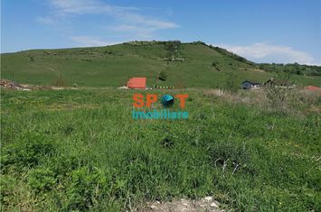 Teren Intravilan de vanzare CHINTENI - Cluj anunturi imobiliare Cluj