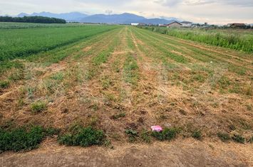 Teren de vanzare STUPINI - Brasov anunturi imobiliare Brasov
