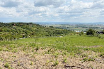 Teren 9461 mp cu panorama in Cartierul Podgoria din Oradea anunturi imobiliare Bihor