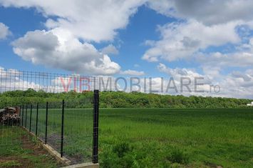 Izvorani Snagov, langa padure , zona de vile noi anunturi imobiliare Bucuresti