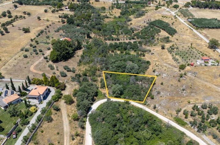 Teren agricol 740 mp în Ekali, cu măslini anunturi imobiliare Grecia