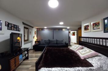 Apartament central la demisol înalt anunturi imobiliare Timis