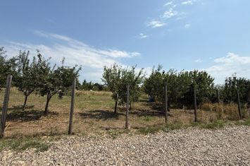 TEREN PENTRU CONSTRUCTIA CASEI, MIROSLAVA, VALEA URSULUI anunturi imobiliare Iasi
