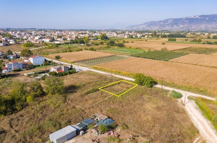 Teren construibil 800 mp în Chrysoupoli Nestos anunturi imobiliare Grecia
