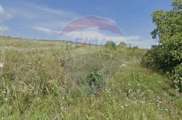 Teren Pădureni (Chinteni), intravilan, parcelabil anunturi imobiliare Cluj