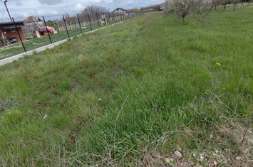 Teren de vanzare BRADU - Arges anunturi imobiliare Arges